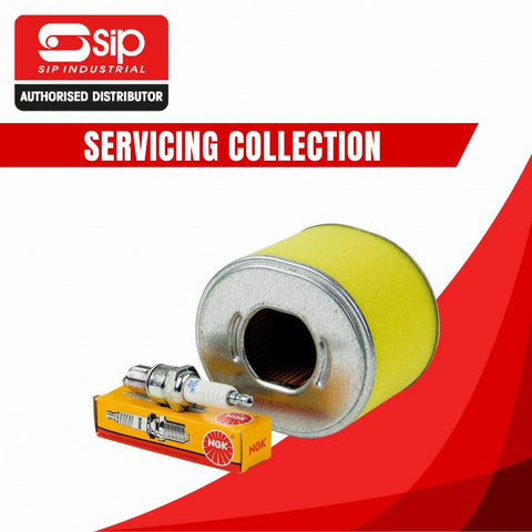 SIP Servicing