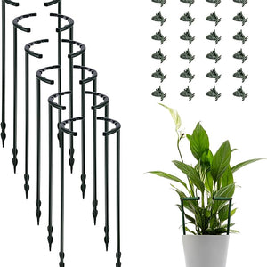 Plant Stakes & Supports