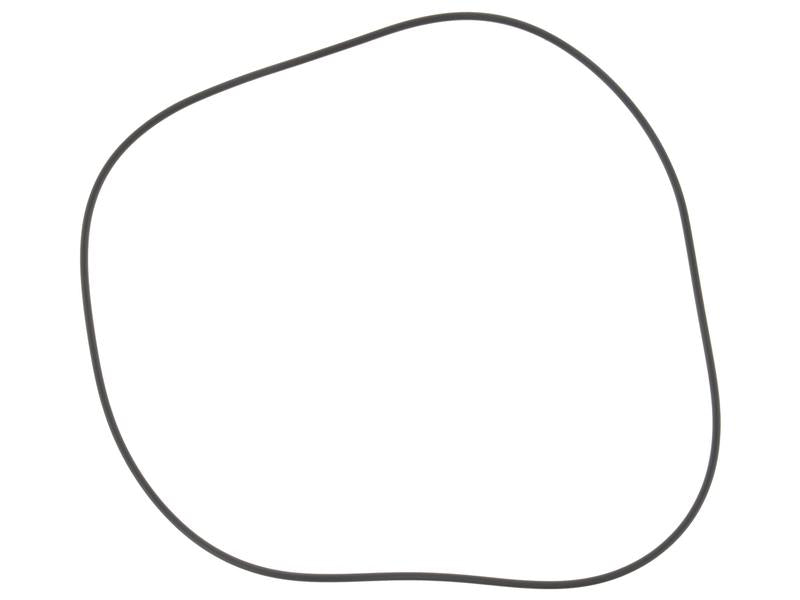 DANA SPICER O RingShore To fit as: 001.05.1119 | S.12015100 - Product Image 1