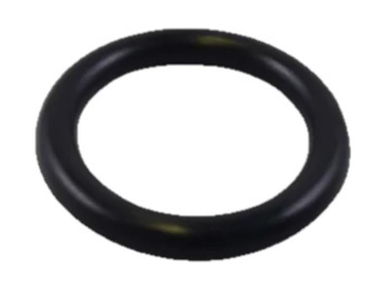 Sparex Injector Nozzle Washer | S.144927 - Product Image 1