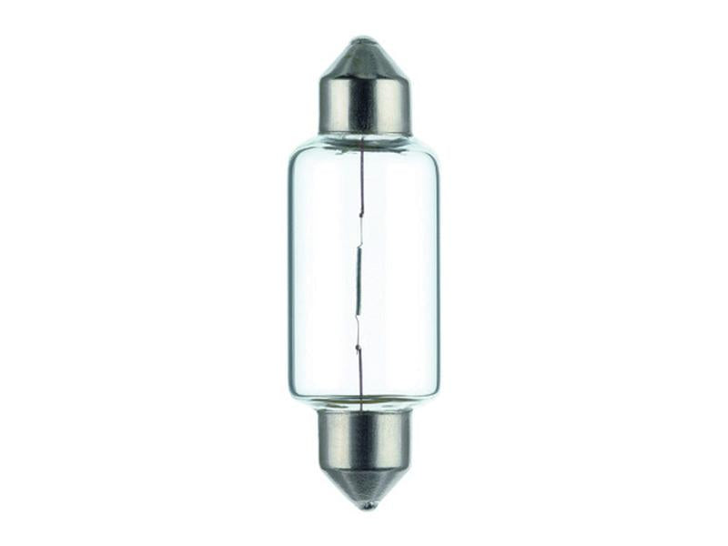 Light Bulb (Halogen) C21W, 12V, 21W, SV8.5-8 (Box 10 pcs.) - Sparex Part No. S.165676