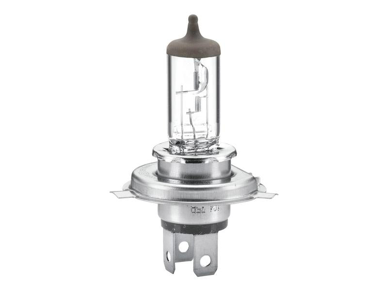 Hella Light Bulb (Halogen) H4, 12V, 60/55W, P43t (Clamshell 1 pc.) | S.165691 - Product Image 1
