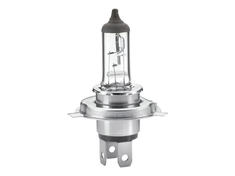 Light Bulb (Halogen) H4, 24V, 75/70W, P43t (Box 1 Pc.) - Sparex Part S.165692
