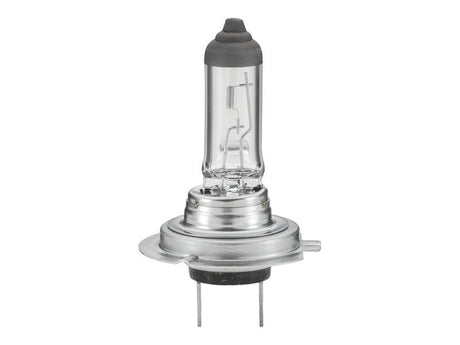 Light Bulb (Halogen) H7, 12V, 55W, PX26d (Box 1 pc.) | S.165693 - Farming Parts