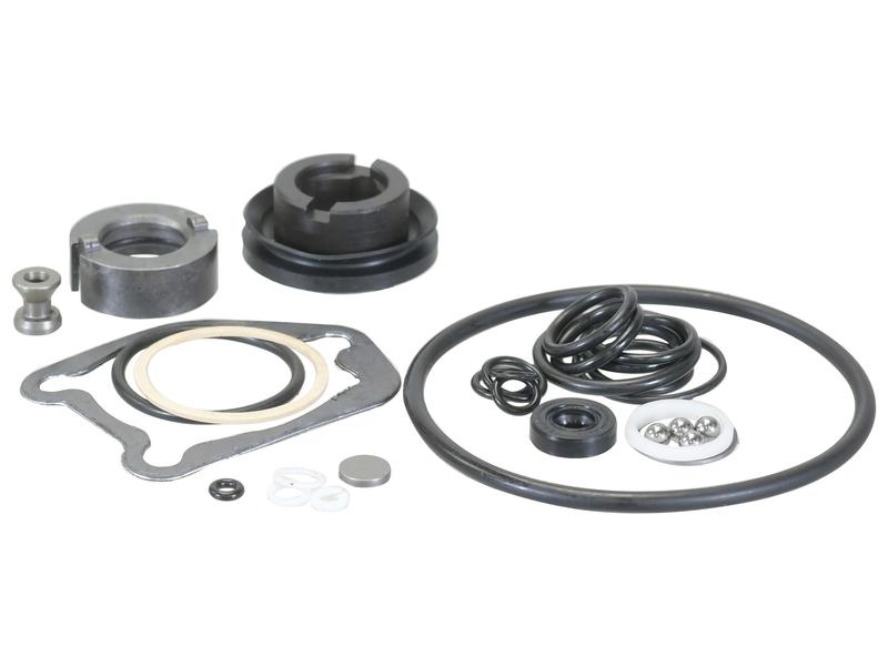 Sparex Valve & O'Ring Kit 300 Series | S.168451 - Product Image 1
