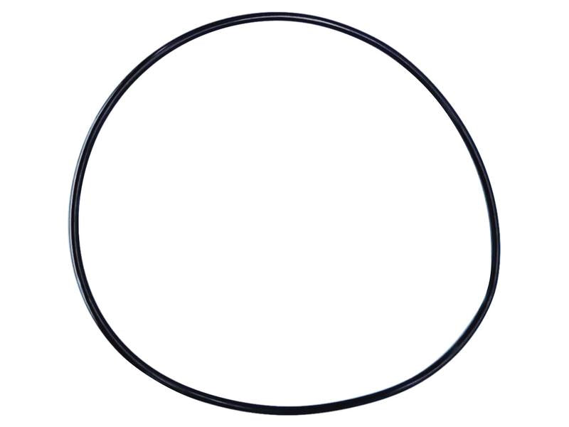 Brake O Ring Kit - Sparex Part No. S.169048