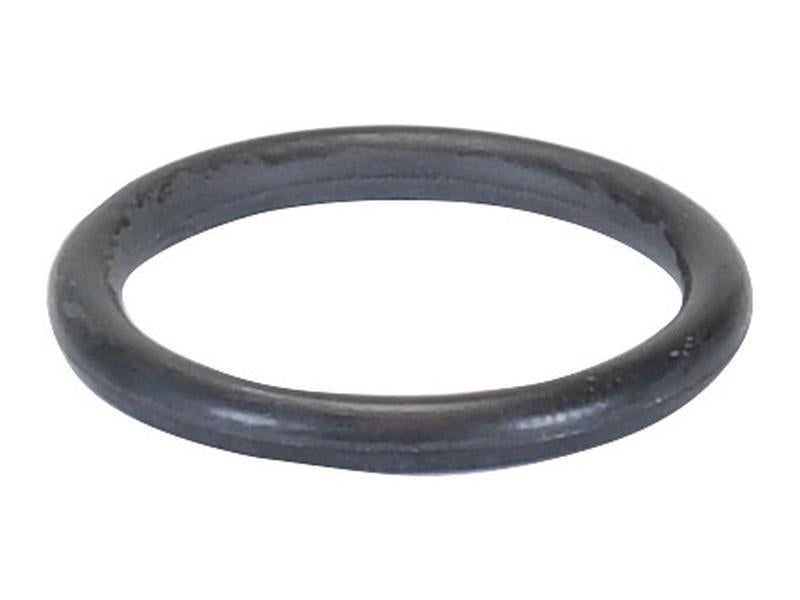 Brake O Ring Kit - Sparex Part No. S.169055