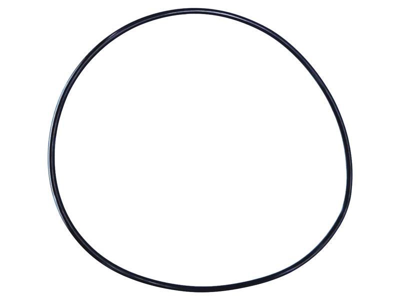 Brake O Ring, MF - Sparex Part S.169061