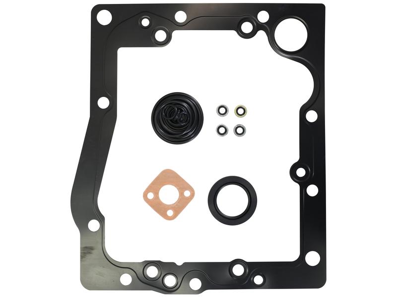 Hydraulic Pump Installation Seal Kit - Sparex Part S.171567