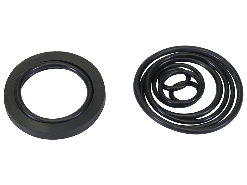 Hydraulic Pump Installation Seal Kit - Sparex Part S.171569