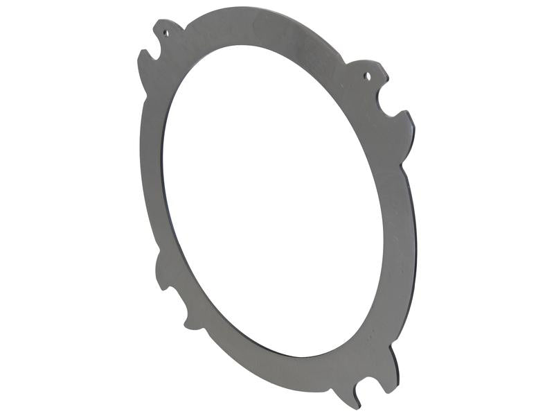 Sparex Clutch Plate | S.175130 - Product Image 2