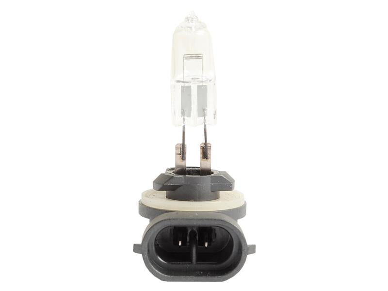 Light Bulb (Halogen) 12V, 50W, PGJ13 (Box 1 pc.) - Sparex Part No. S.20535