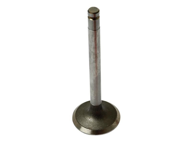 Sparex Inlet Valve, +0.003'' (0.076mm) | S.40481 - Product Image 1