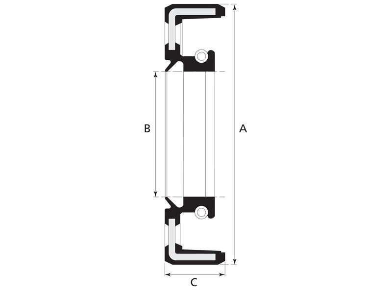 Sparex Metric Rotary Shaft Seal, 70 x 100 x 12mm | S.43496 - Product Image 2