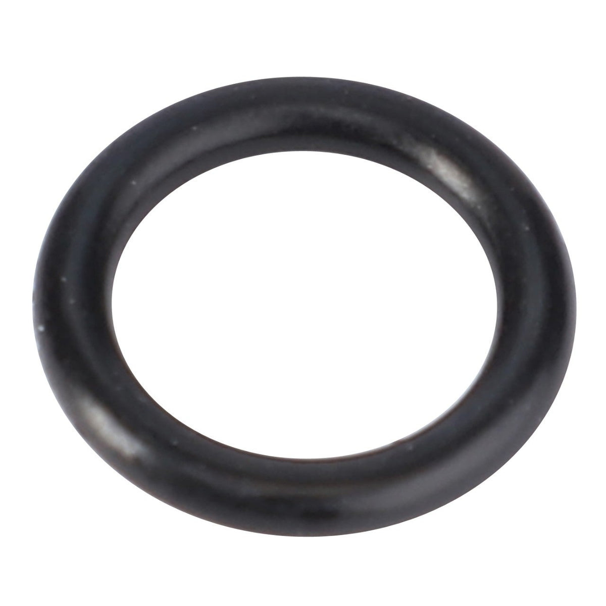 AGCO | O-Ring, Hydraulic Pump - 3019394X1