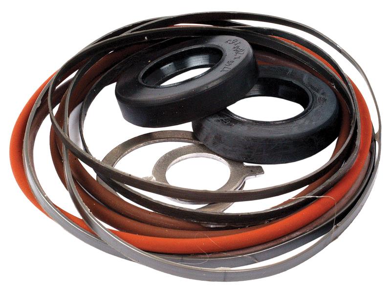 Seal Kit (, S.59104, S.149232, S.62217) - S.62807 - Sparex Part S.344892