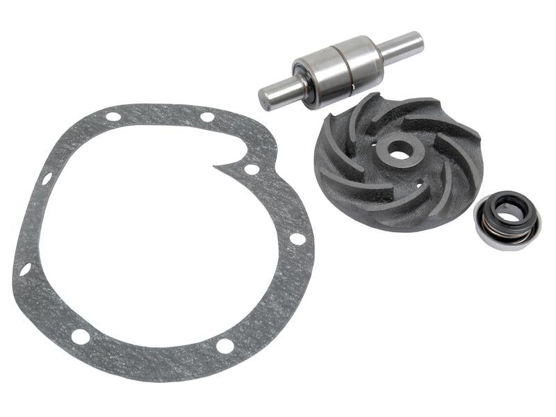 Water Pump Repair Kit - Sparex Part S.63075