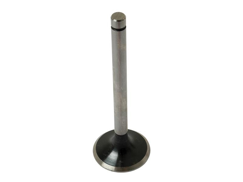 Inlet Valve - Sparex Part S.64105