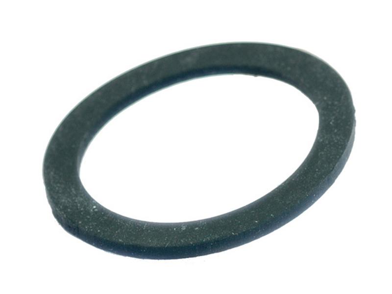 Fuel Bowl Sealing Washer - Sparex Part S.64352