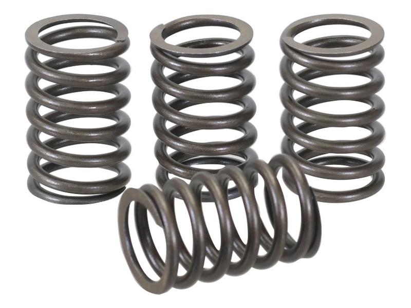 Valve Spring - Outer - Sparex Part S.65711