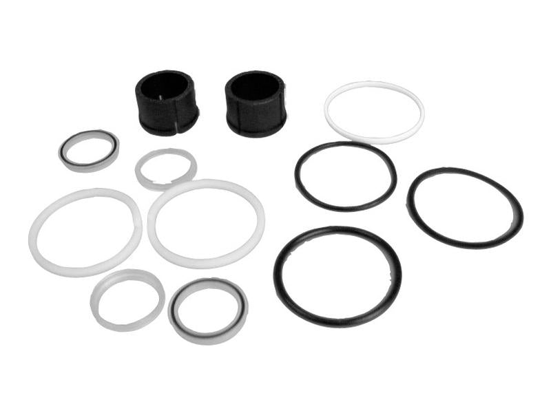 Seal Kit (Power Steering Cylinder - 2WD) - Sparex Part S.65809