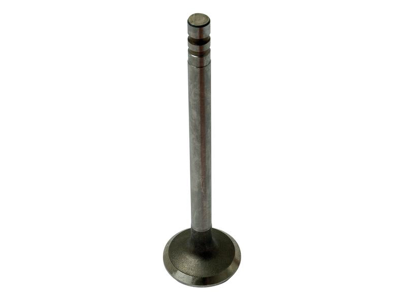 Sparex Exhaust Valve +0.015'' (0.38mm) | S.65928 - Product Image 1