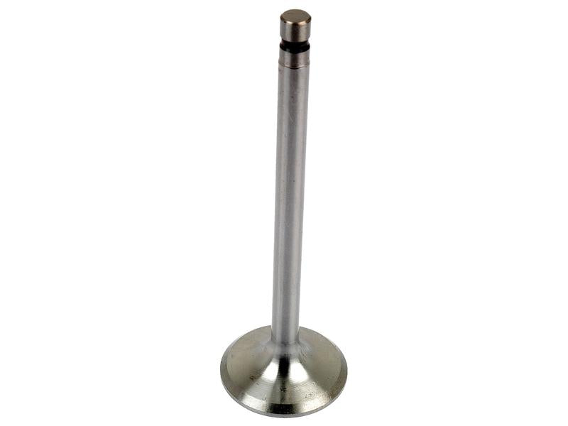 Inlet Valve - Sparex Part No. S.65929