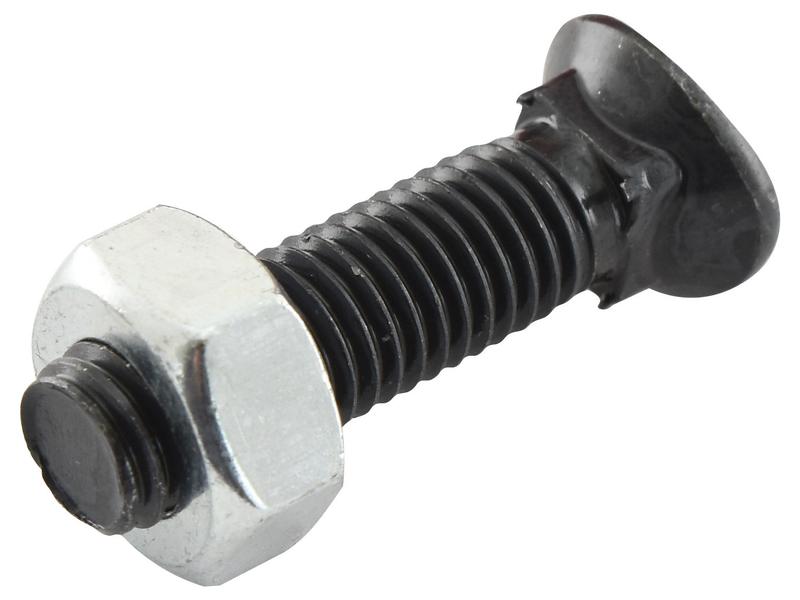 Sparex Oval Head Bolt Square Collar With Nut (TOCC) - M8 x 35mm, Tensile strength 8.8 (25 pcs. Box) | S.78769 - Product Image 1