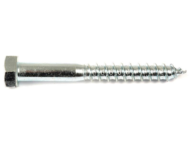 Sparex Metric Coach Screw, M6x50mm (DIN 571) | S.8353 - Product Image 1