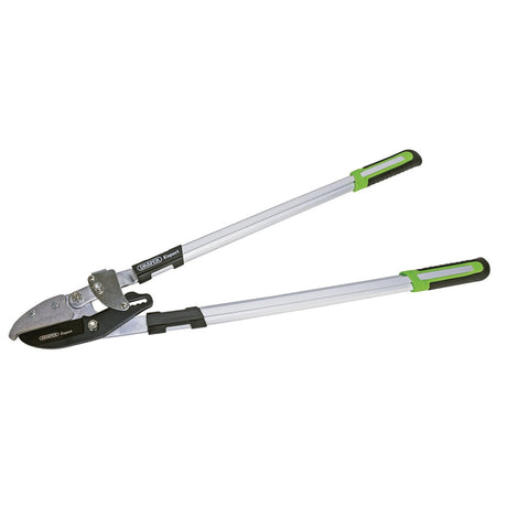 Draper Expert Ratchet Action Anvil Pattern Loppers, 750mm - GALS/E - Farming Parts