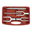 A red plastic case containing the Sealey Ball Joint Splitter Kit 5pc - AK273, which includes three forked separators and one handle, is perfect for small cars.