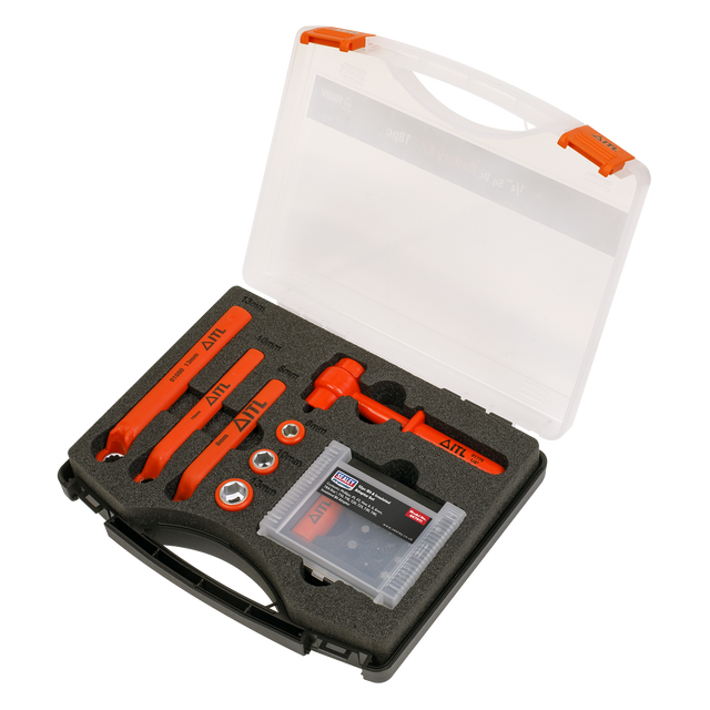 Hybrid & Electric Vehicle Battery Tool Kit 19pc - AK7911 - Farming Parts