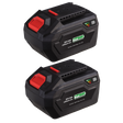 The Power Tool Battery Pack 20V 6Ah Kit for SV20 Series - BK06 by Sealey includes two black rechargeable lithium-ion batteries with red accents and green LED indicators. Labeled "20V 6Ah" and featuring the website "sealey.co.uk," these batteries deliver reliable performance for your high-demand tasks.