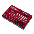 The Sealey Spray Gun Cleaning Set 22pc - BSGC5 includes various brushes, rods, and precision probes meticulously arranged in a red foam tray inside a black case.