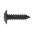 Close-up of a black Sealey self-tapping screw, featuring a flat-headed design with coarse threads for fastening materials. This 4.2 x 16mm flanged Pozi head screw ensures extra stability and comes in a convenient pack of 100, model BST4216.