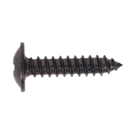 A close-up image of a single Sealey Self-Tapping Screw (BST4219), with a 4.2 x 19mm flanged head and threaded body, in black Pozi finish. The screw is shown against a white background, highlighting its precision design.