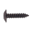 Close-up of a Sealey Self-Tapping Screw 4.8 x 19mm Flanged Head Black Pozi (BST4819), featuring a threaded body and pointed tip, isolated on a white background.