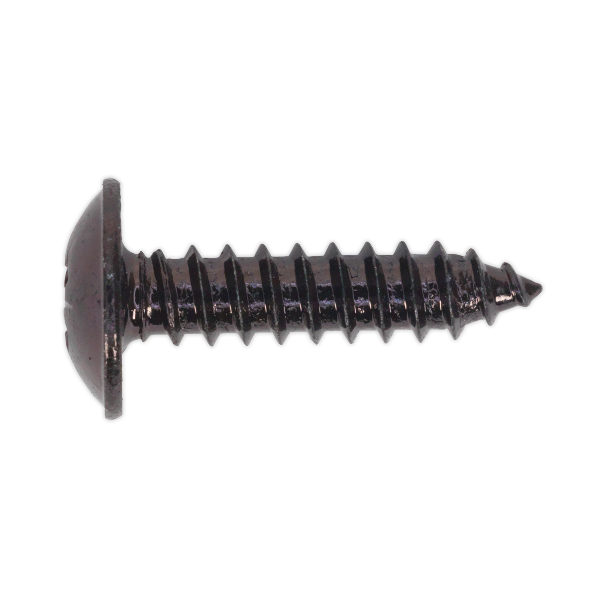 Close-up of a Sealey Self-Tapping Screw 4.8 x 19mm Flanged Head Black Pozi (BST4819), featuring a threaded body and pointed tip, isolated on a white background.