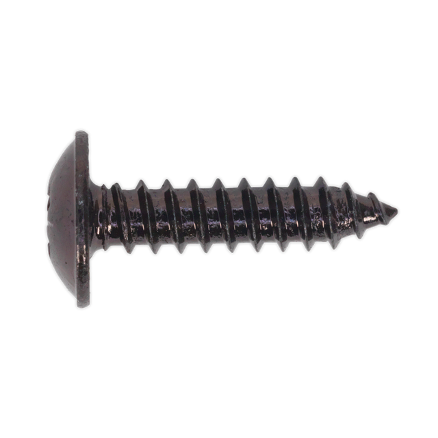 Close-up of a Sealey Self-Tapping Screw 4.8 x 19mm Flanged Head Black Pozi (BST4819), featuring a threaded body and pointed tip, isolated on a white background.