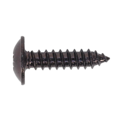Close-up of a Sealey Self-Tapping Screw 4.8 x 19mm Flanged Head Black Pozi (BST4819), featuring a threaded body and pointed tip, isolated on a white background.