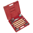 The Sealey Panel Beating Set 9pc - CB58 is a red plastic storage case that includes a set of hickory-handled hammers and metalworking tools, featuring drop-forged steel dollies.