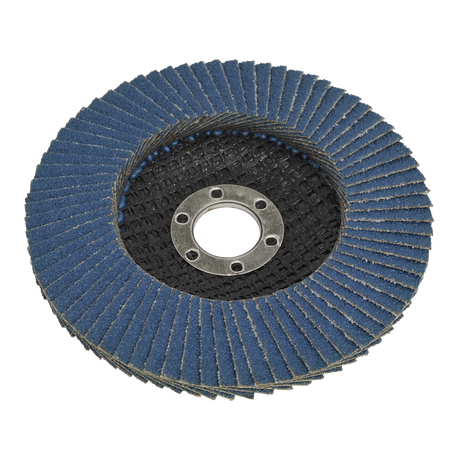Flap Disc Zirconium Ø100mm Ø16mm Bore 80Grit - FD10080 - Farming Parts