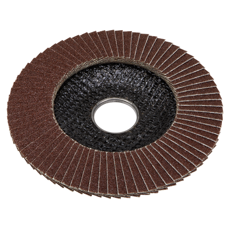 Flap Disc Aluminium Oxide Ø115mm Ø22mm Bore 80Grit - FD11580E - Farming Parts