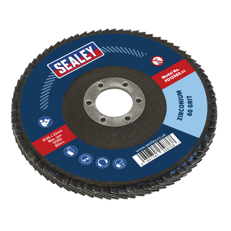 Flap Disc Zirconium Ø125mm Ø22mm Bore 60Grit - FD12560 - Farming Parts