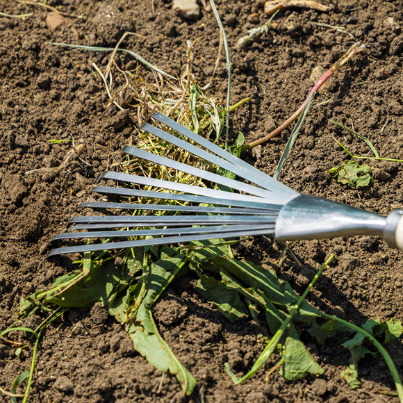 Premier Leaf Hand Rake with Ash Handle & Stainless Steel Tines - SE-GTWH001