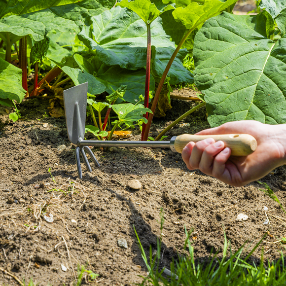 Premier 2-in-1 Hoe and Cultivator with Ash Handle & Stainless Steel Tines/Blade - SE-GTWH002