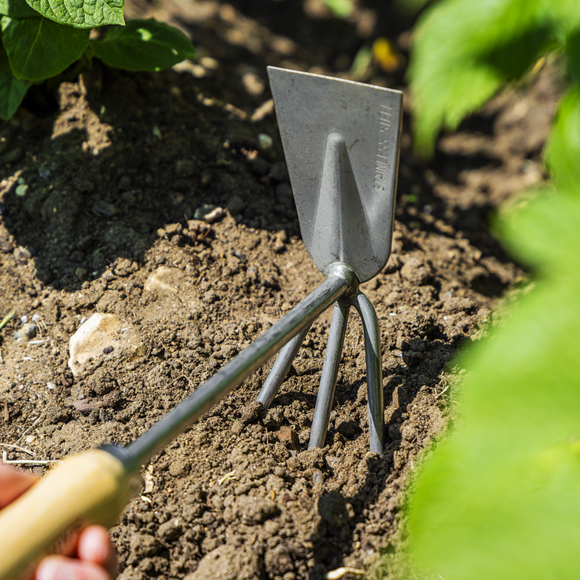 Premier 2-in-1 Hoe and Cultivator with Ash Handle & Stainless Steel Tines/Blade - SE-GTWH002