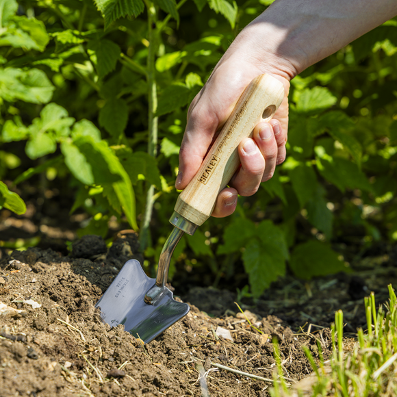 Premier Slim Head Trowel with Ash Handle & Stainless Steel Blade - SE-GTWH004
