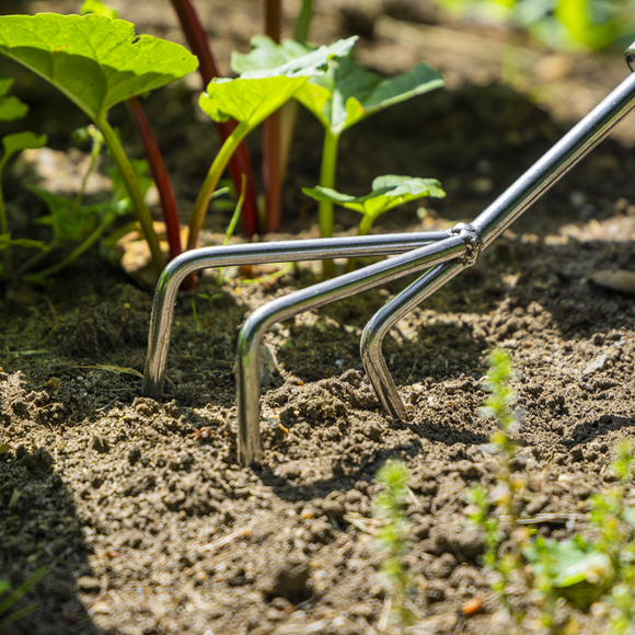 Premier Cultivator with Short Ash Handle & Stainless Steel Tines - SE-GTWH005