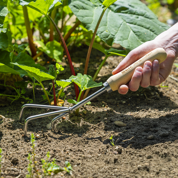 Premier Cultivator with Short Ash Handle & Stainless Steel Tines - SE-GTWH005